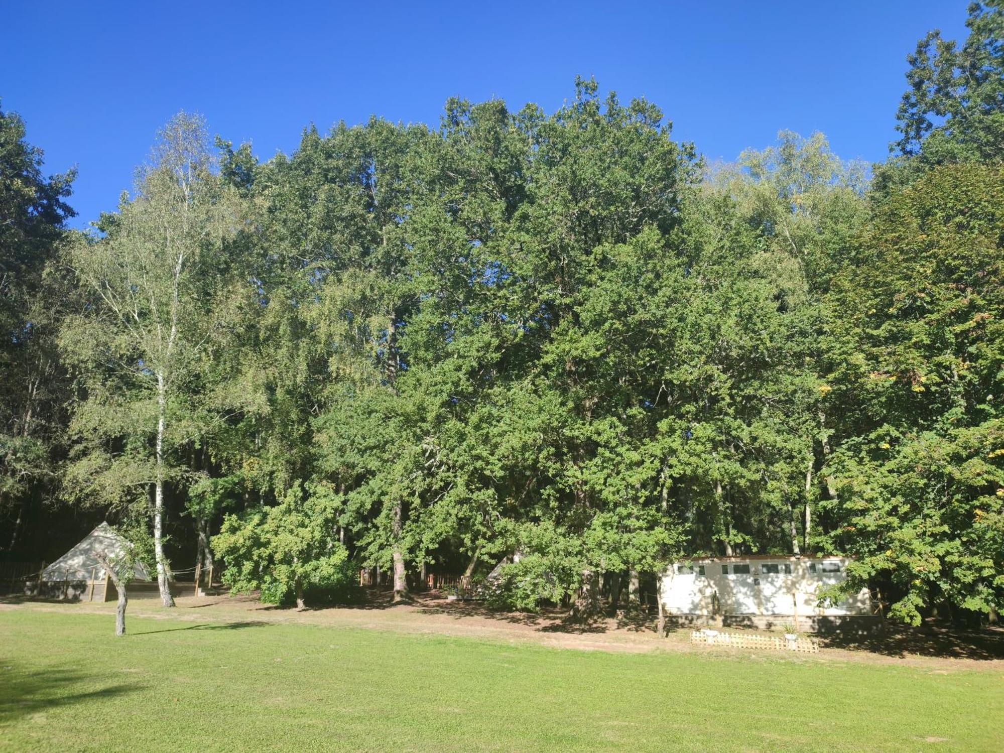 Camping Sous Les Belles Etoiles Peyrilhac Extérieur photo